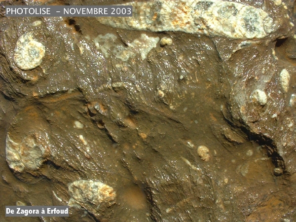 DSCF0547.jpg