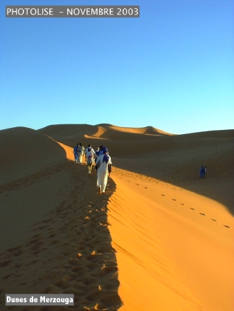 DSCF0562.jpg
