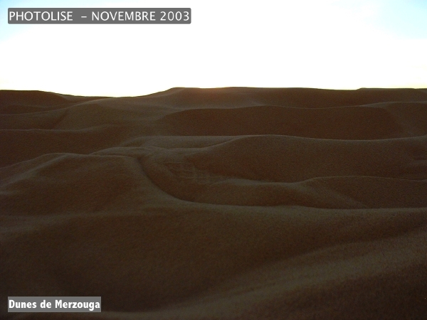 DSCF0572.jpg