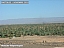 DSCF0479.jpg