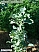 DSCF0513.jpg