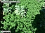 DSCF0514.jpg