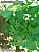 DSCF0515.jpg