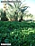 DSCF0519.jpg