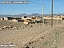 DSCF0520.jpg
