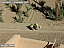 DSCF0524.jpg