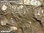 DSCF0547.jpg