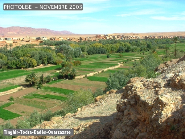 DSCF0590.jpg