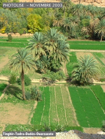 DSCF0592.jpg
