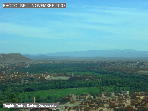 DSCF0594.jpg