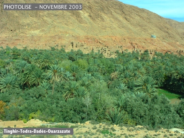 DSCF0600.jpg