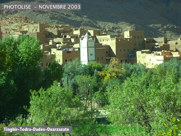 DSCF0606.jpg