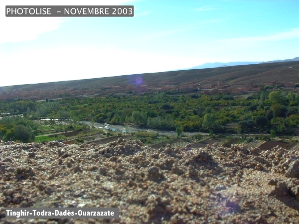 DSCF0611.jpg