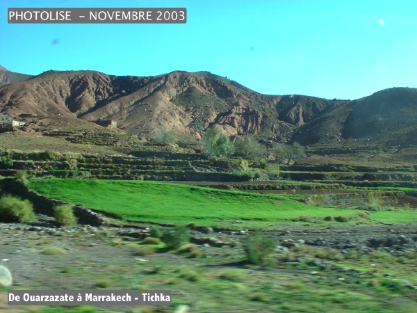 DSCF0635.jpg