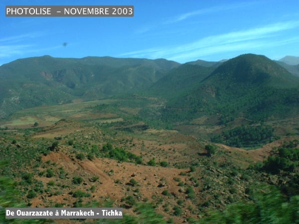 DSCF0655.jpg