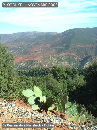 DSCF0657.jpg
