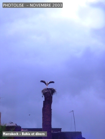 DSCF0720.jpg