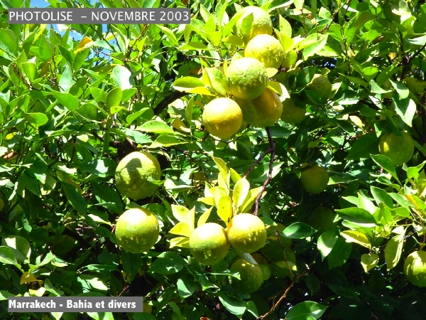 DSCF0722.jpg