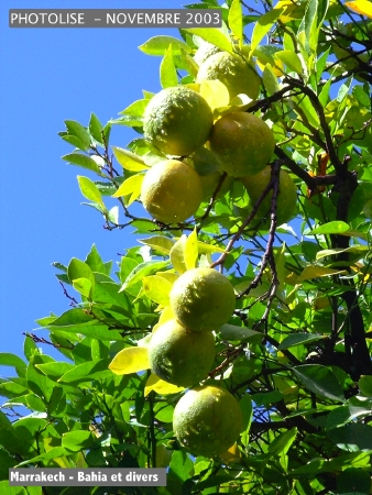 DSCF0723.jpg
