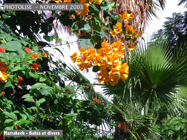 DSCF0724.jpg