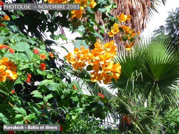 DSCF0725.jpg