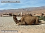 DSCF0591.jpg