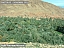 DSCF0600.jpg