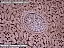 DSCF0712.jpg