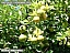 DSCF0722.jpg