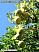 DSCF0723.jpg