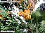 DSCF0724.jpg