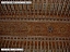 DSCF0727.jpg