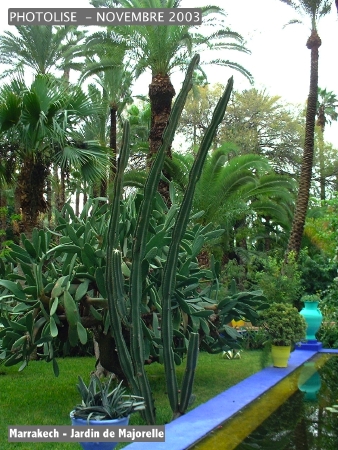 DSCF0755.jpg