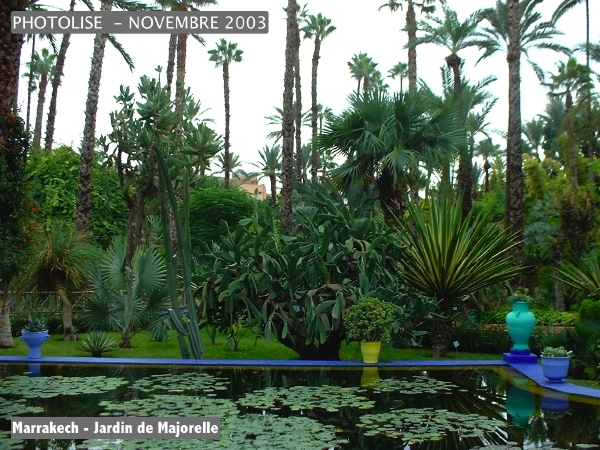 DSCF0756.jpg