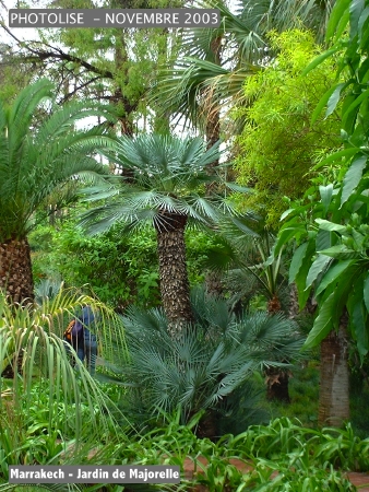 DSCF0758.jpg
