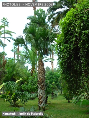 DSCF0759.jpg