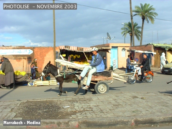 DSCF0762.jpg