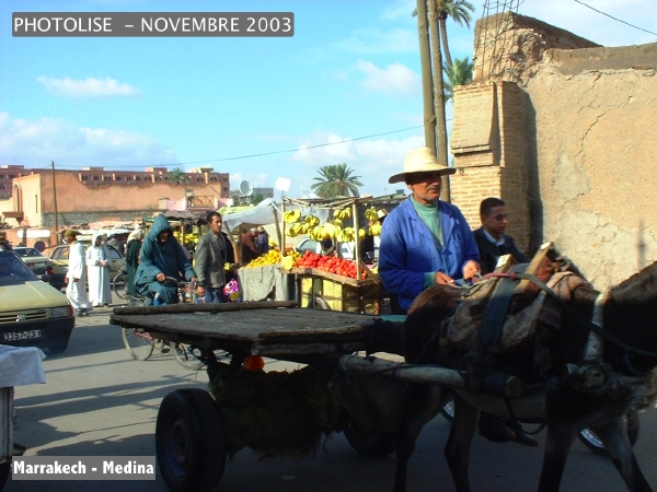 DSCF0763.jpg