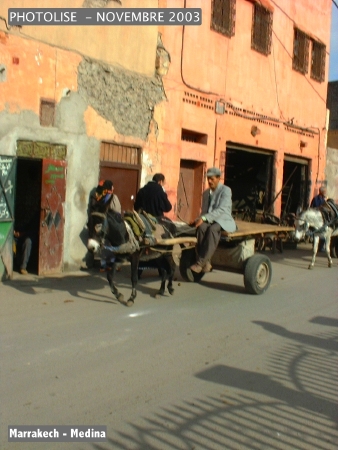 DSCF0764.jpg