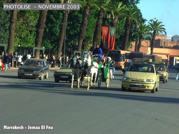 DSCF0789.jpg