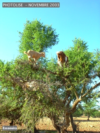 DSCF0795.jpg