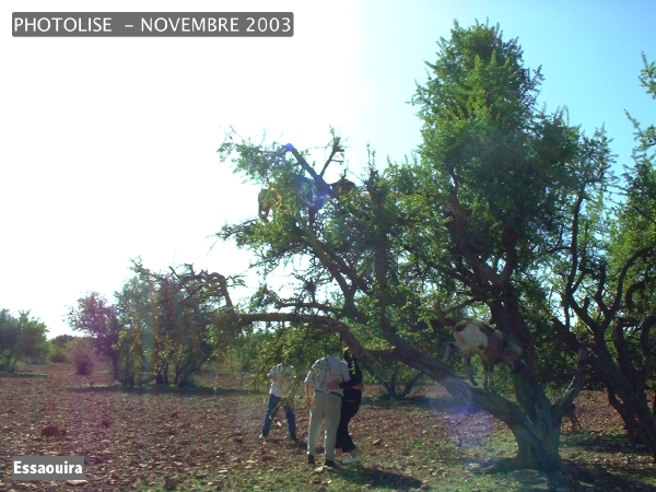 DSCF0798.jpg