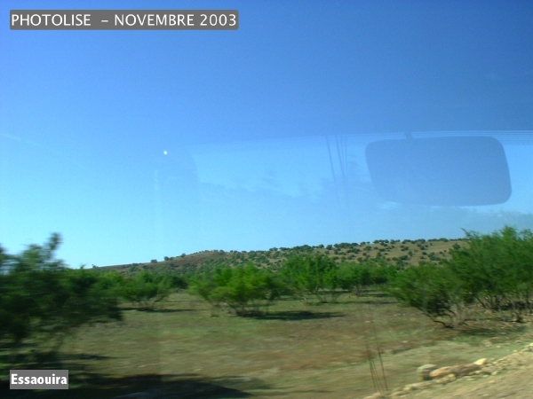 DSCF0800.jpg