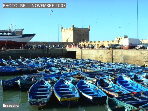 DSCF0817.jpg