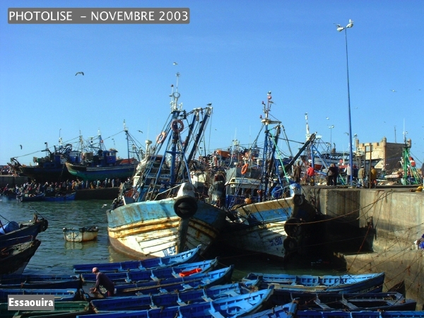 DSCF0818.jpg