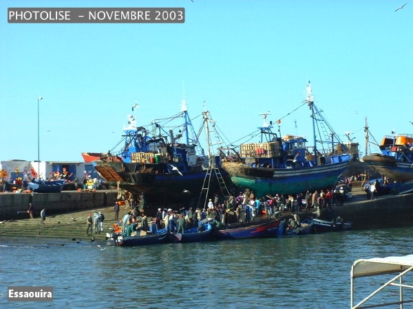 DSCF0819.jpg