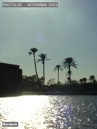 DSCF0853.jpg