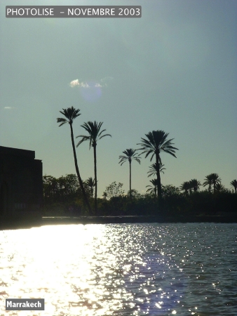 DSCF0854.jpg
