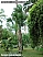 DSCF0759.jpg