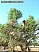 DSCF0795.jpg